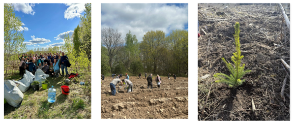 Eugesta_Tree_planting_in_Lithuania